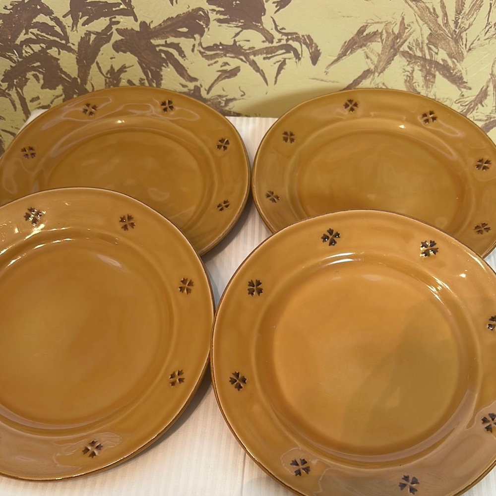 Pier 1 Tosco Elegant Ceramic Plates Set